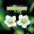 2003 약용 식물 | Medicinam Plants