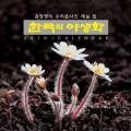 2010 사람이 볼 수 없는 꽃의 세계 | The World Hidden From Humans