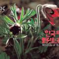 1995 한국의 야생화 1집